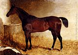 John Frederick Herring, Jnr Canvas Paintings - Flexible, A Chestnut Racehorse In A Loose Box